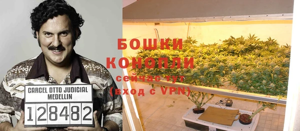 молекула духа Бронницы