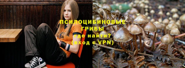 бутират Бородино